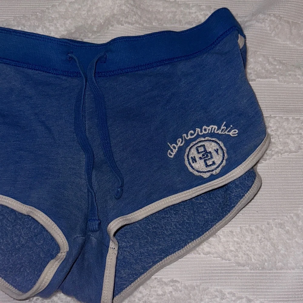 Abercrombie Kids Size L - Blue Shorts - Picture 2 of 6